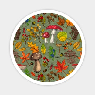 Autumn mushrooms, leaves, nuts and berries on green Magnet